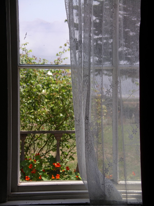 Kitchen window