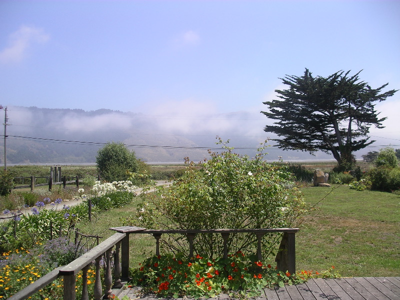Fog burning off
