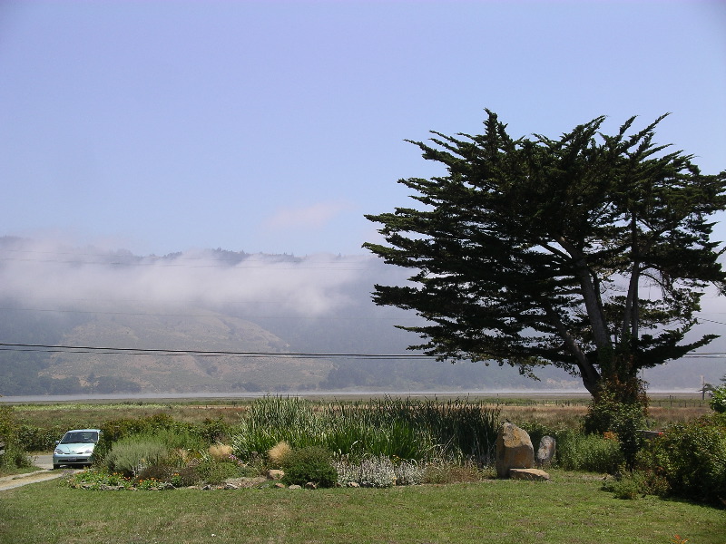 IMGP2206