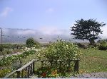 Fog burning off