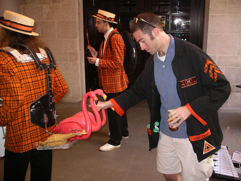 Playing the flamingos