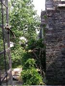 another view out the window